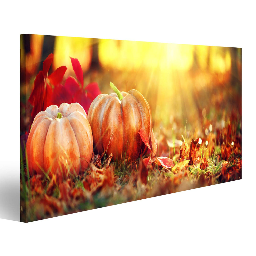 Bild Bilder auf Leinwand Herbst Halloween Kürbisse. Orange Kürbise über hellem herbstlichem Naturhin