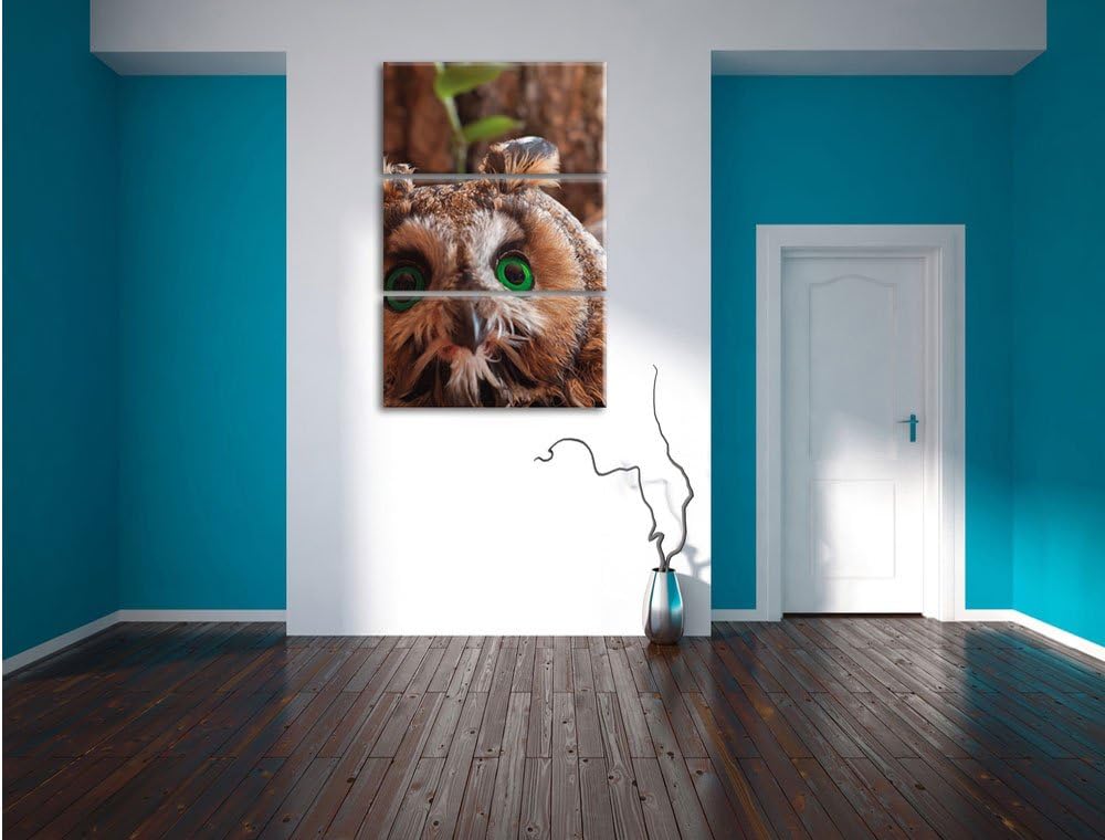 Pixxprint Kleine Eule grüne Augen als Leinwandbild/Grösse: 3 Teilig (120x80) cm/Wandbild/Kunstdruck/