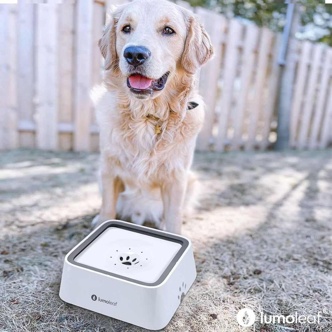 LumoLeaf Wassernapf für Hunde, 2L, Anti-Schwapp Fressnapf Hund Unterwegs mit Kohlefilter, Hundenapf