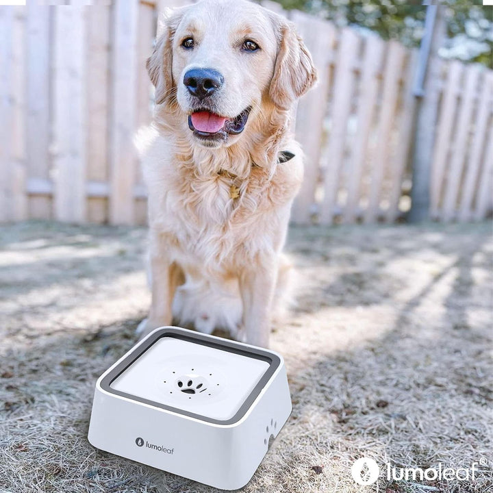 LumoLeaf Wassernapf für Hunde, 2L, Anti-Schwapp Fressnapf Hund Unterwegs mit Kohlefilter, Hundenapf