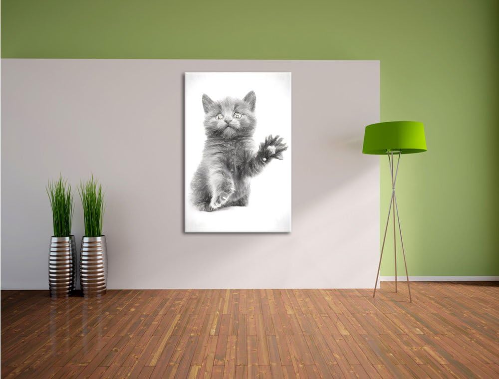 Babykatze Kohle Effekt, Format: 100x70 auf Leinwand, XXL riesige Bilder fertig gerahmt mit Keilrahme