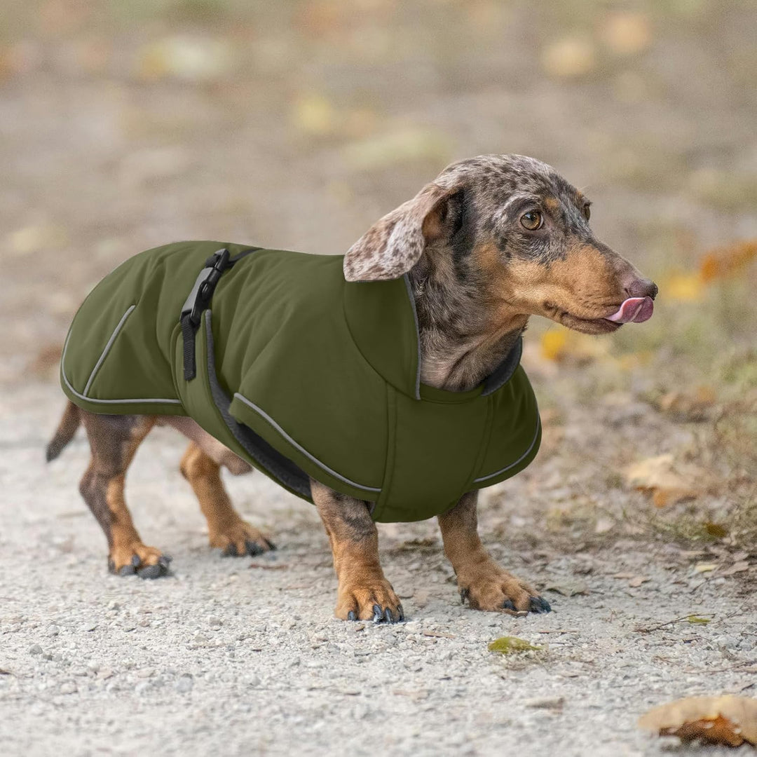 Hundemantel Dackel XS, Winddichter Wasserdichter Wintermantel Für Dackel Hunde, Hundejacke Für Klein