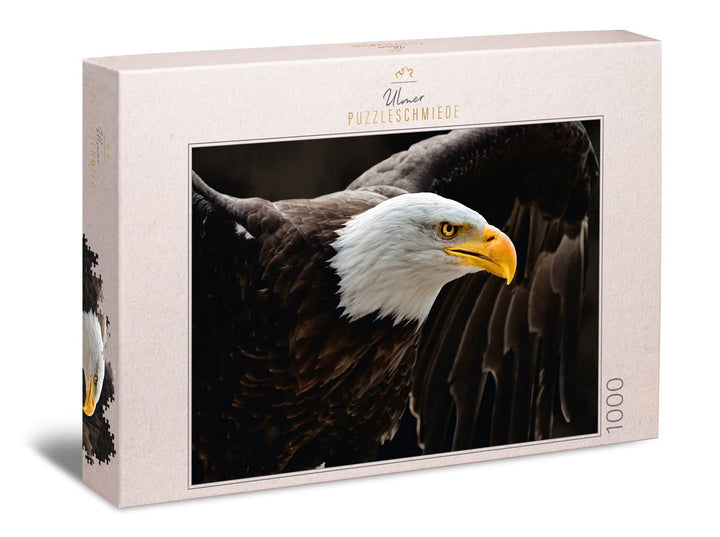 Ulmer Puzzleschmiede „Der Seeadler“ - Klassisches 1000 Teile Tier-Puzzle – Der imposante Adler, das