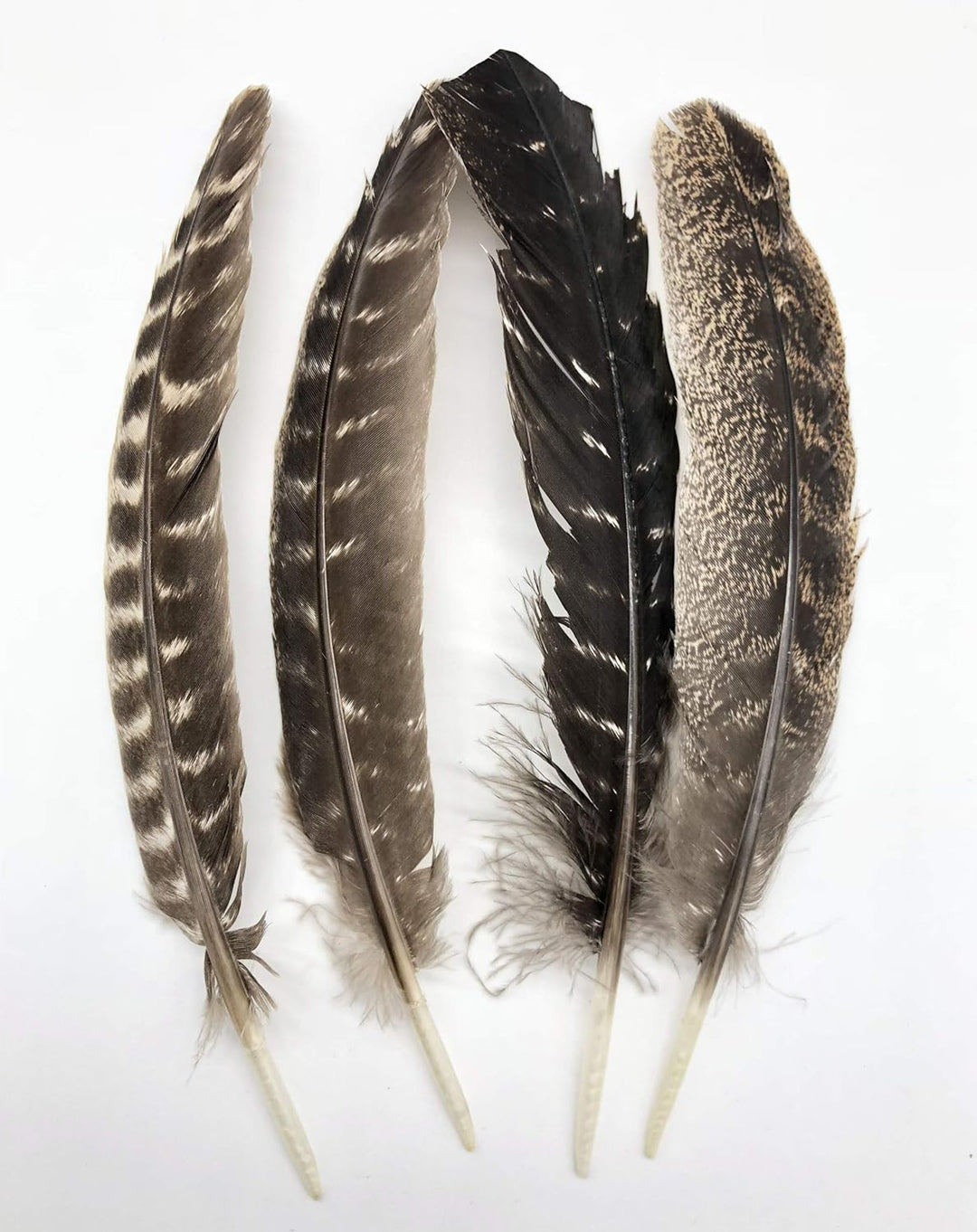 Truthahn Federn 20-30 cm/ 8-12 Zoll Länge Truthahnfedern 10/20/50 stück… 20 Stück, 20 Stück