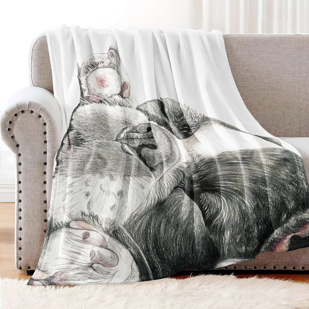 YISUMEI Decke 150x200 cm Kuscheldecken Sanft Flanell Weich Fleecedecke Bettüberwurf Schläfrige franz