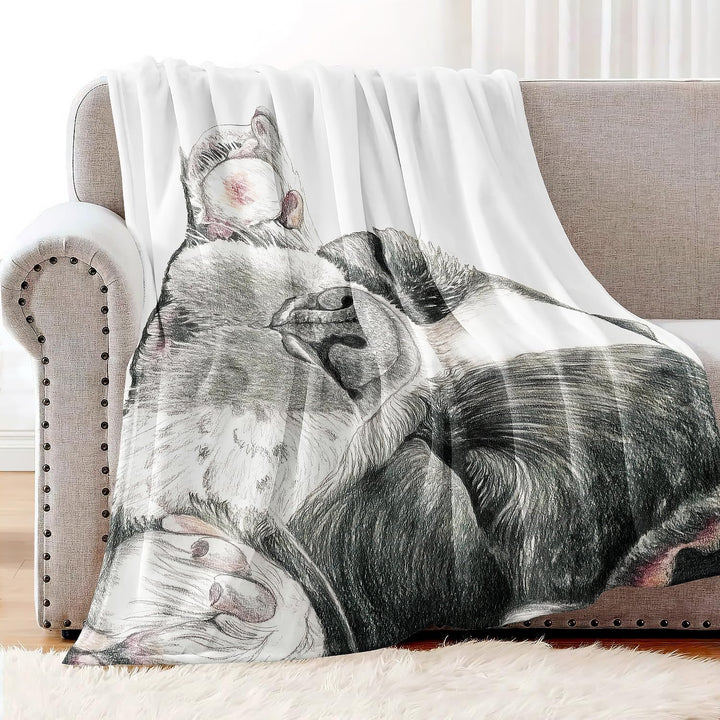 YISUMEI Decke 150x200 cm Kuscheldecken Sanft Flanell Weich Fleecedecke Bettüberwurf Schläfrige franz