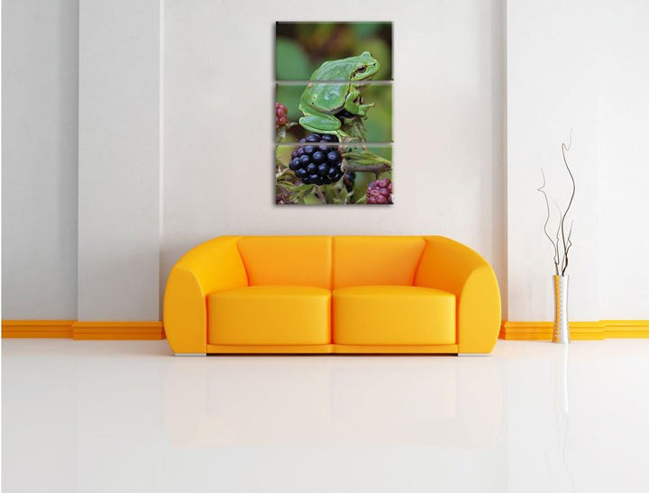Pixxprint Kleiner Frosch auf Brombeerstrauch 3-Teiler Leinwandbild 120x80 Bild auf Leinwand
