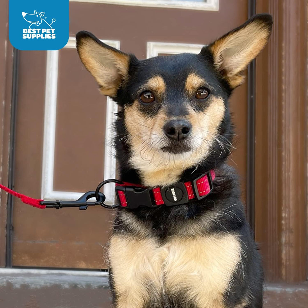 Best Pet Supplies Reflektierendes Hundehalsband mit Verstellbarer Länge, robuste Schnalle und starke