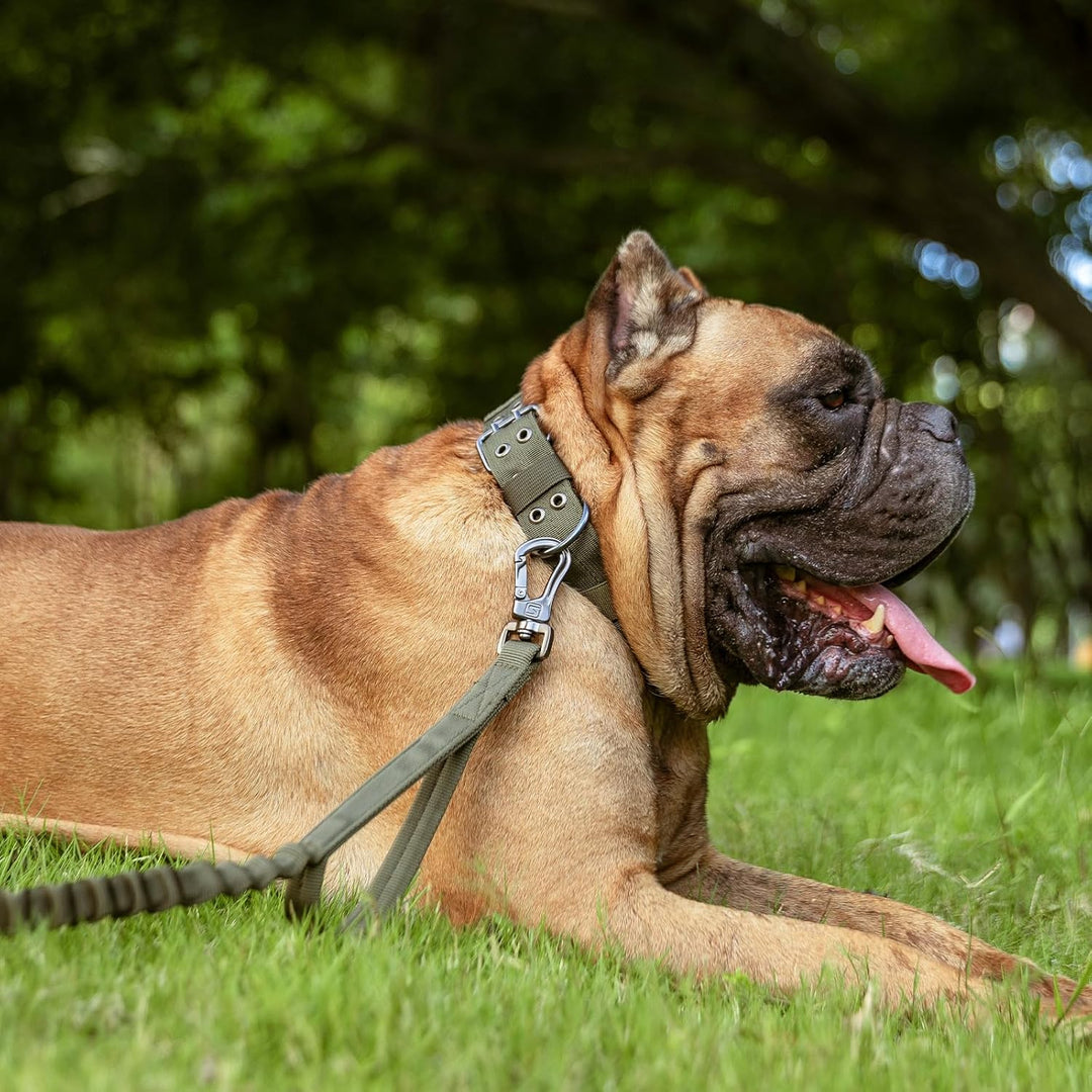 EXCELLENT ELITE SPANKER Militär-Hundehalsband Taktisches Hundehalsband Mit D-Ring Verstellbares Hund