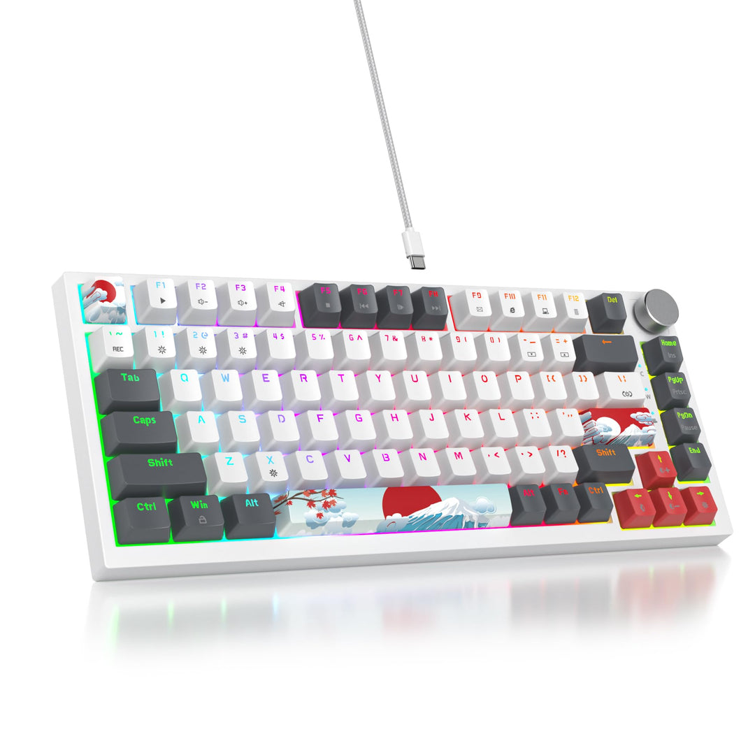 SOLIDEE 75% mechanische Gaming-Tastatur,hot-swap-fähige Tastatur mit rote Schalter,RGB-Hintergrundbe
