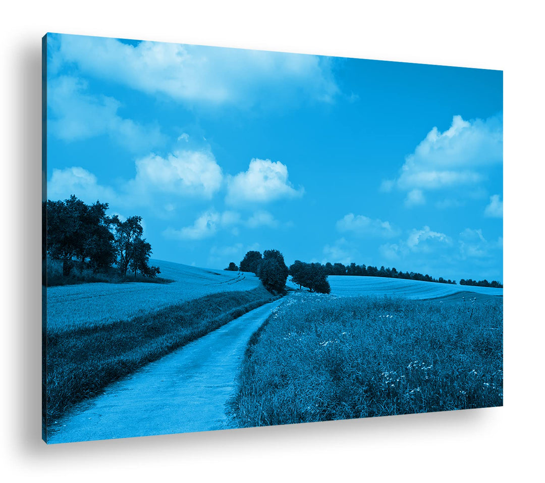 deyoli Feldweg im Sommer Format 80x60 Effekt: Monocrome Blau als Leinwandbild, Motiv fertig gerahmt