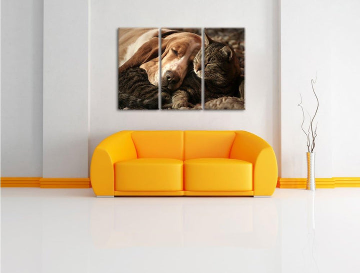 Pixxprint Katze und Hund kuschelnd als Leinwandbild/Grösse: 3 Teilig (120x80) / Wandbild/Kunstdruck/