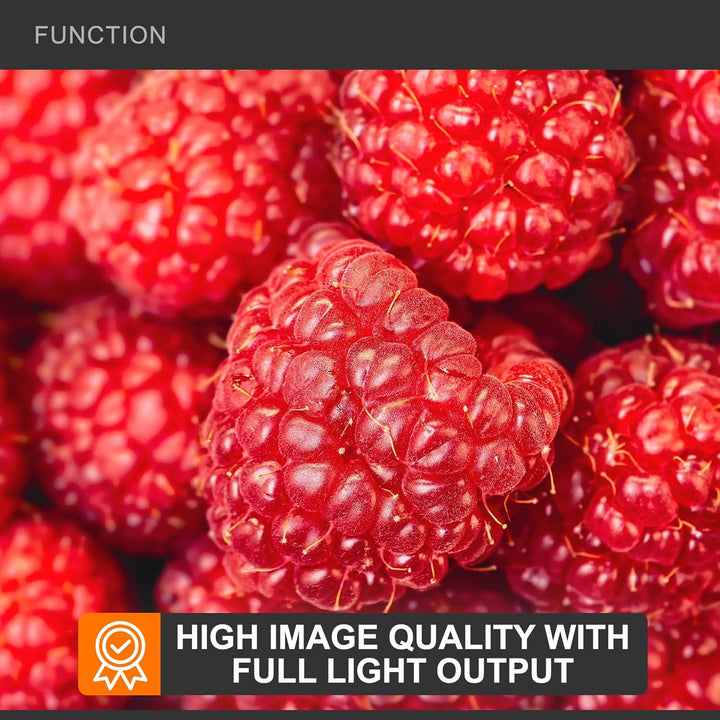 Walimex 17857 Close up Makrolinsen-Set 58 mm inkl. 0.0125 Dioptrien 58 mm Single, 58 mm Single