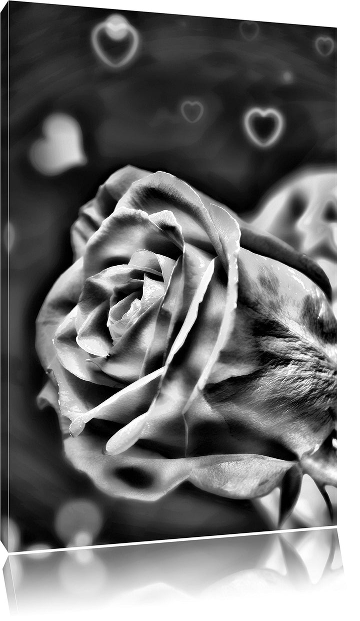 Pixxprint Rote Rosen Valentinstag als Leinwandbild/Grösse: 100x70 / Wandbild/Kunstdruck/fertig bespa