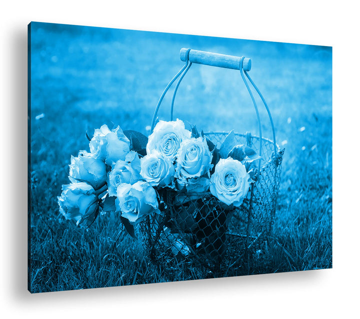 deyoli Rosa Rosenstrauss Format 80x60 Effekt: Monocrome Blau als Leinwandbild, Motiv fertig gerahmt