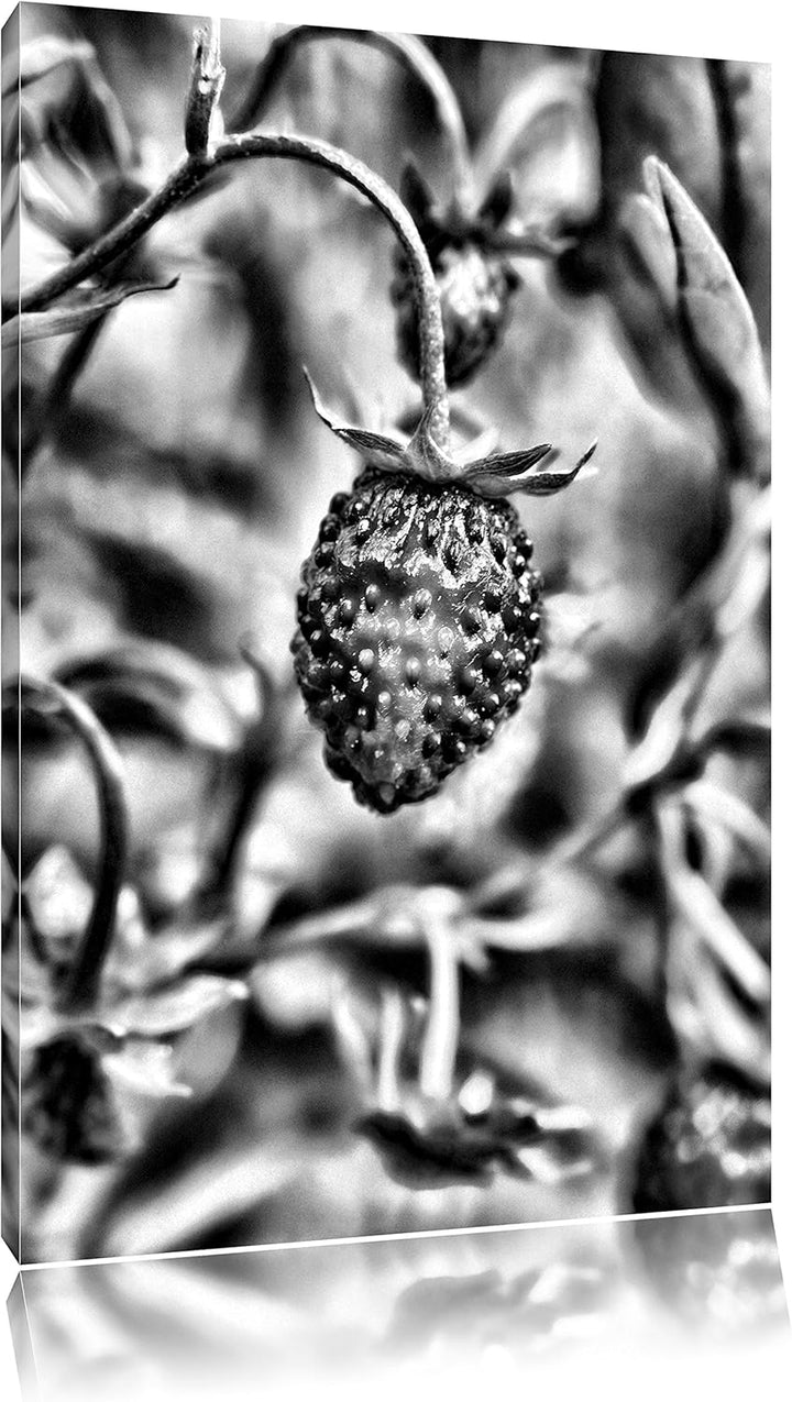 Pixxprint kleine Wilde Erdbeere als Leinwandbild | Grösse: 100x70 | Wandbild| Kunstdruck | fertig be
