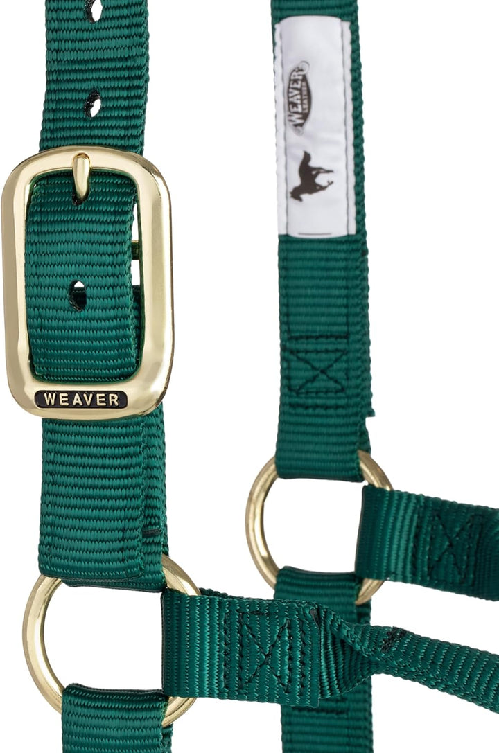 WEAVER Leather, Nicht verstellbares Halfter Jäger-Grün Large Horse, Jäger-Grün Large Horse