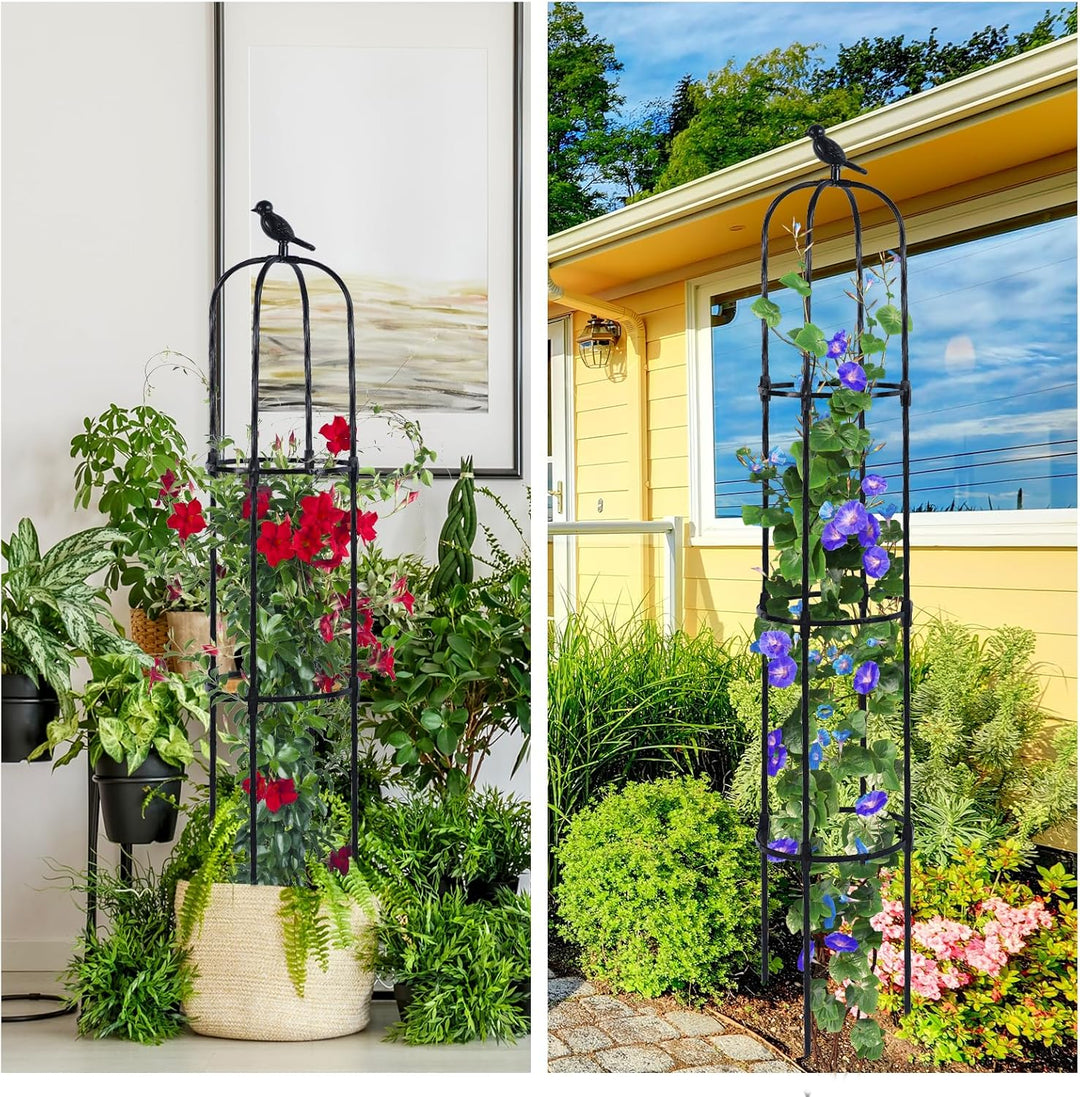 Garten Obelisk Rankhilfe, Rosen Rankgitter Rostfrei Trellis für Kletterreben Clematis Gurken,170cm,S