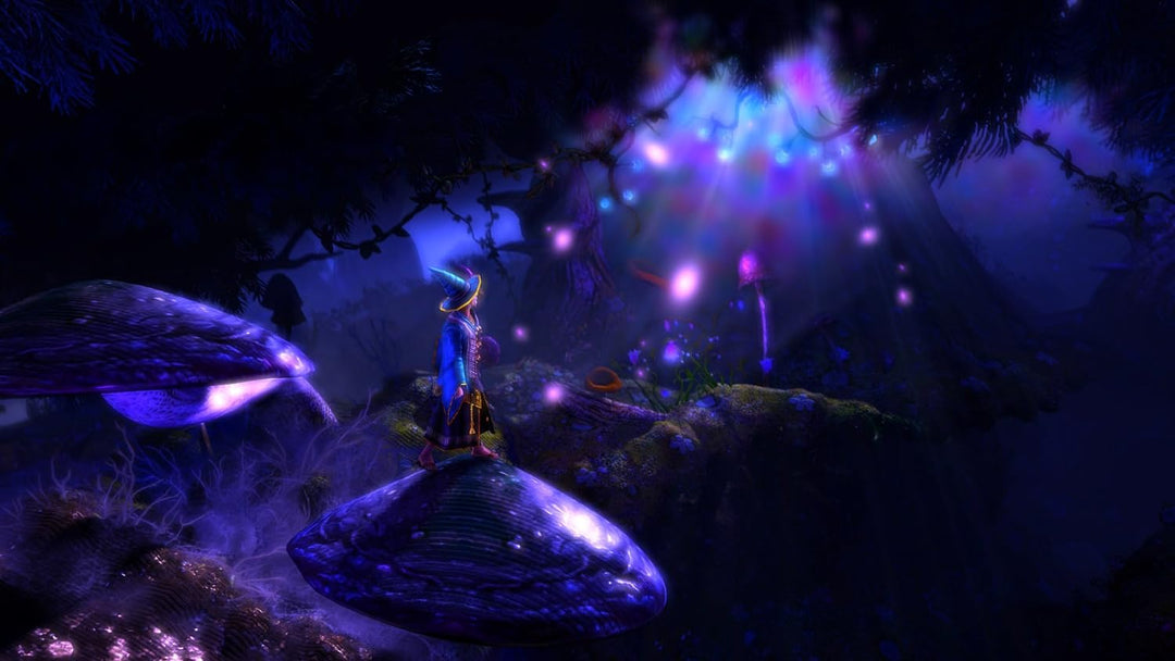 Trine 2 (Collectors Edition)