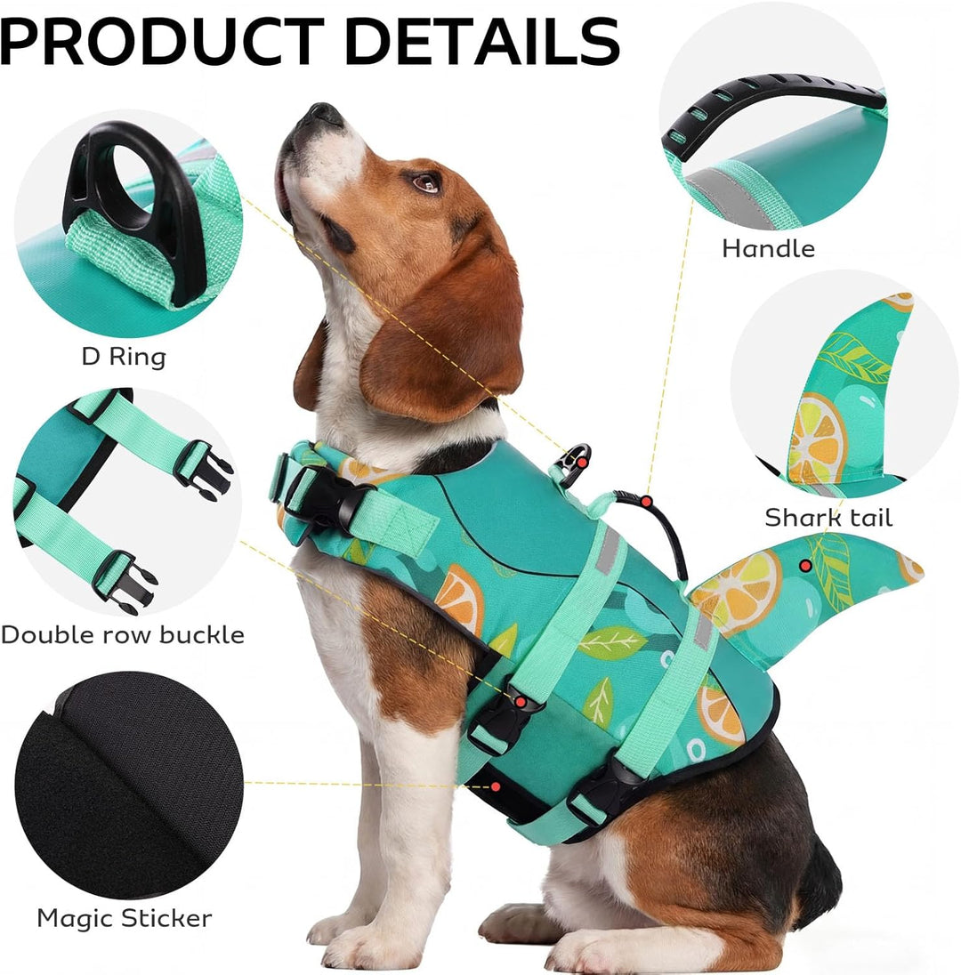 CITÉTOILE Schwimmweste Hunde Hai, Leicht und Sicher für Wassersport, hundeschwimmweste mit Griff und