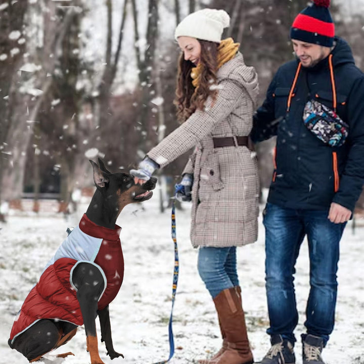 Wintermantel Hundemantel Gross Hund, Hundemantel Winter Rollkragen Warme Reflektierende,Haustier Ski