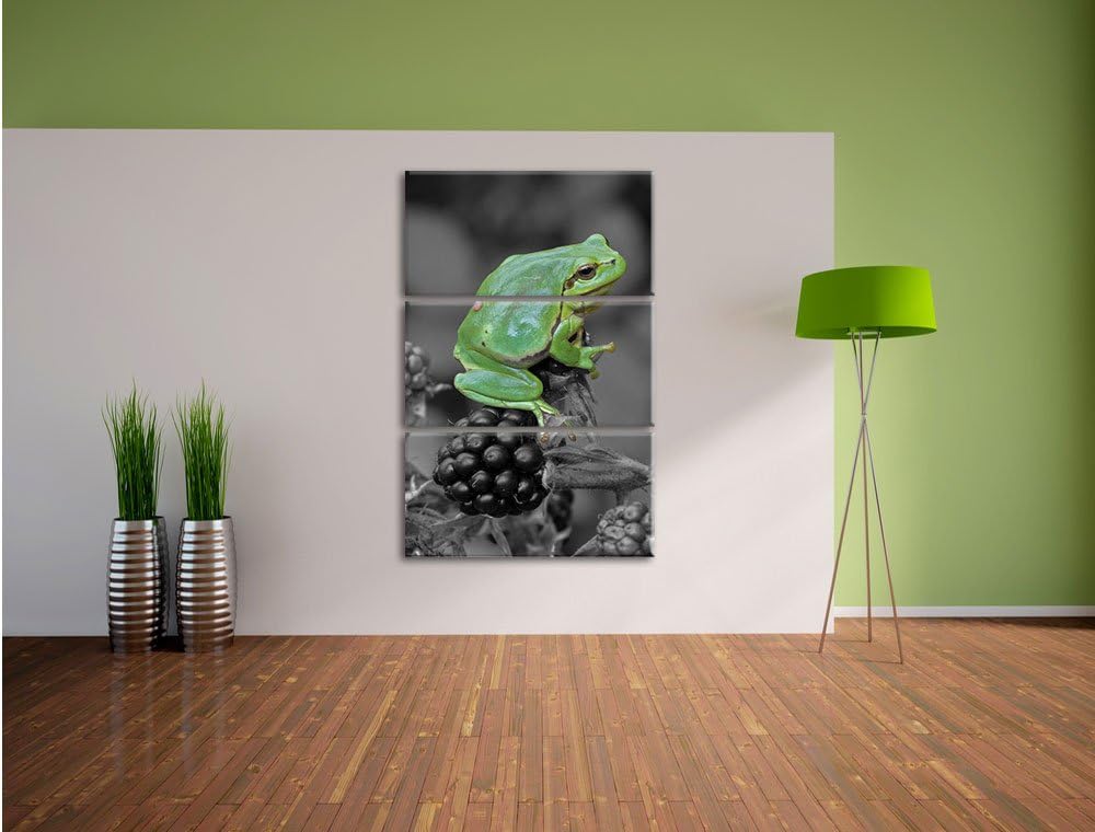 Pixxprint Frosch auf Brombeerstrauch als Leinwandbild/Grösse: 3 Teilig (120x80) cm/Wandbild/Kunstdru