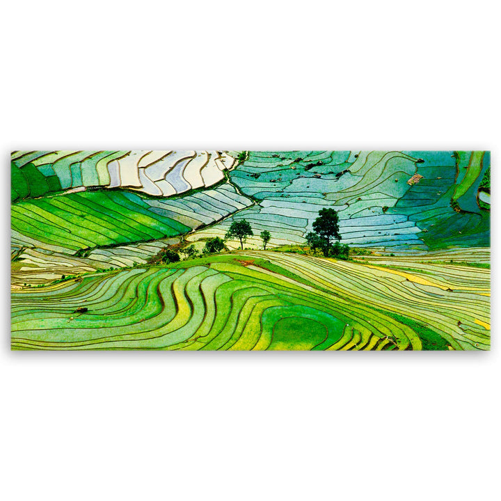 ge Bildet Bild auf Leinwand | Landschaftsbilder - Reisfelder in der Provinz Lao Cai - Vietnam K in 1