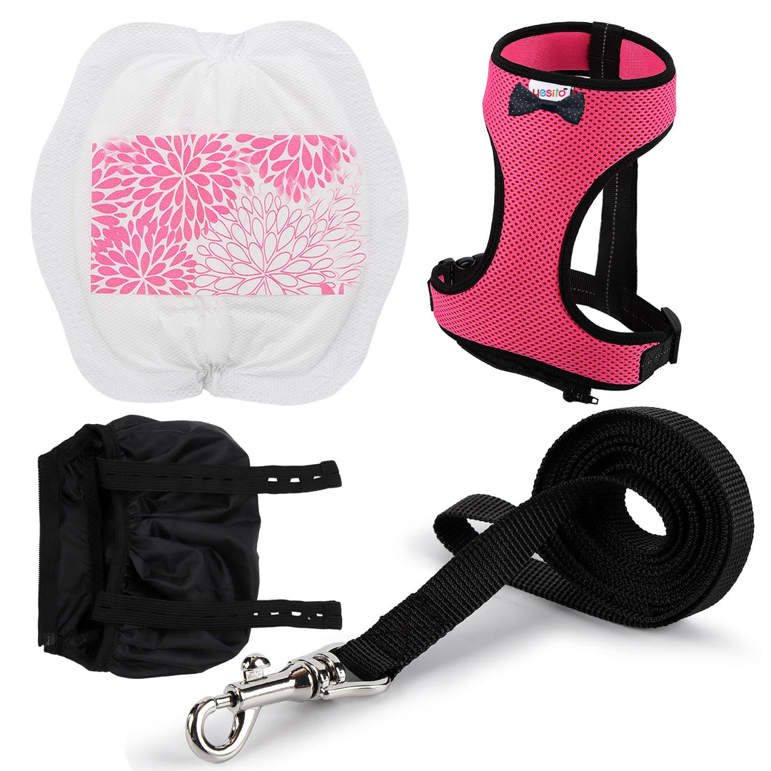 Hühner-Geschirr mit passendem Gürtel, 1,8 m, bequem, atmungsaktiv, kleine Grösse, geeignet für Huhn,