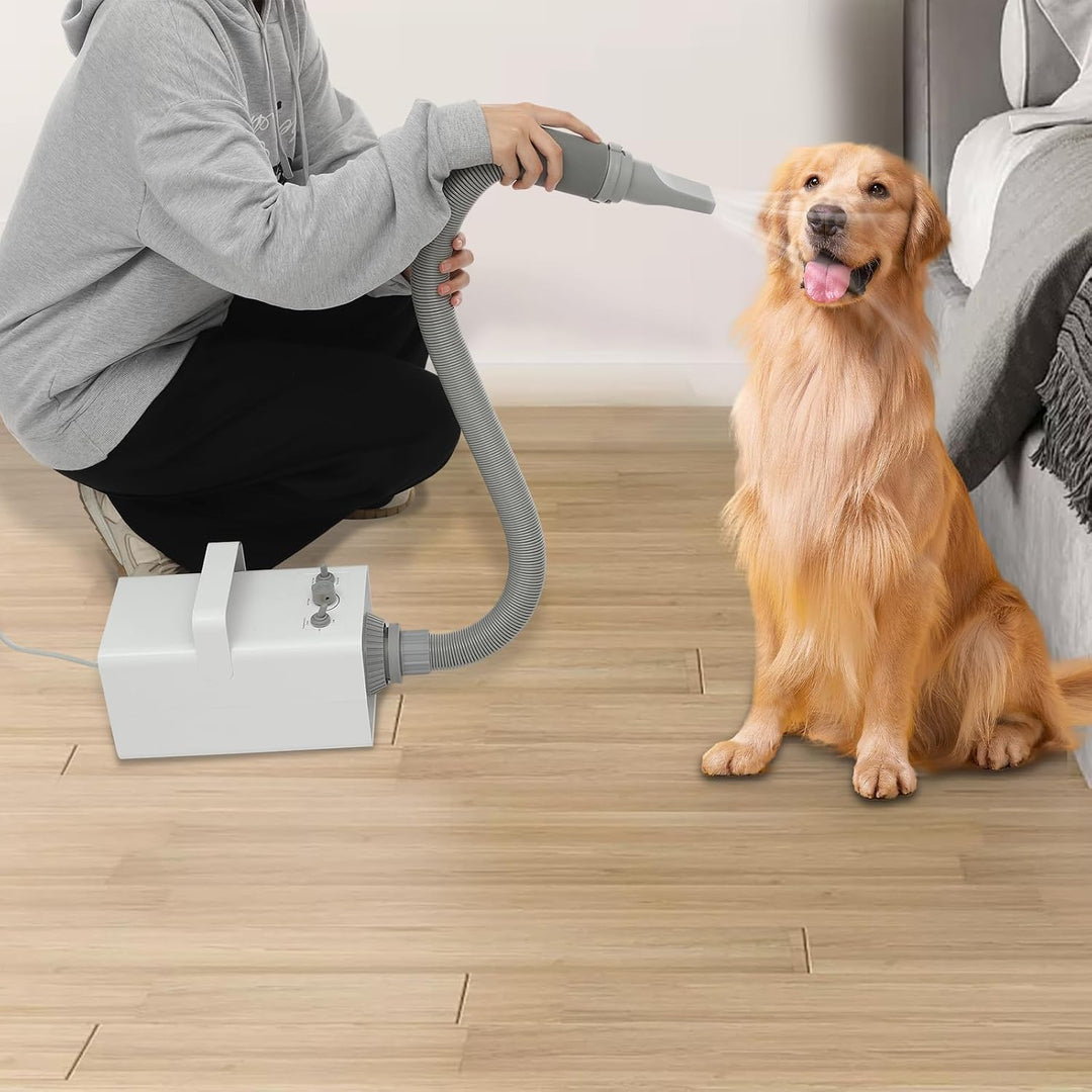 Haustiertrockner 2800W mit 4 Düsen, Weiss | Hundeföhn für Hunde & Katzen, 57 dB, 68 m/s Luftstrom, 2