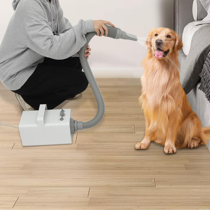 Haustiertrockner 2800W mit 4 Düsen, Weiss | Hundeföhn für Hunde & Katzen, 57 dB, 68 m/s Luftstrom, 2