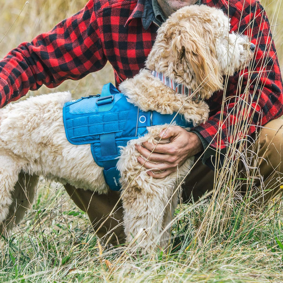 Kurgo RSG Townie Hundegeschirr, Einfaches Anlegen und Abnehmen, Einstellbare Brust- und Bauchgurte,