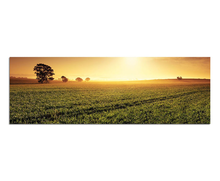 Paul Sinus Art Panoramabild auf Leinwand und Keilrahmen 150x50cm Australien Landschaft Feld Abendrot