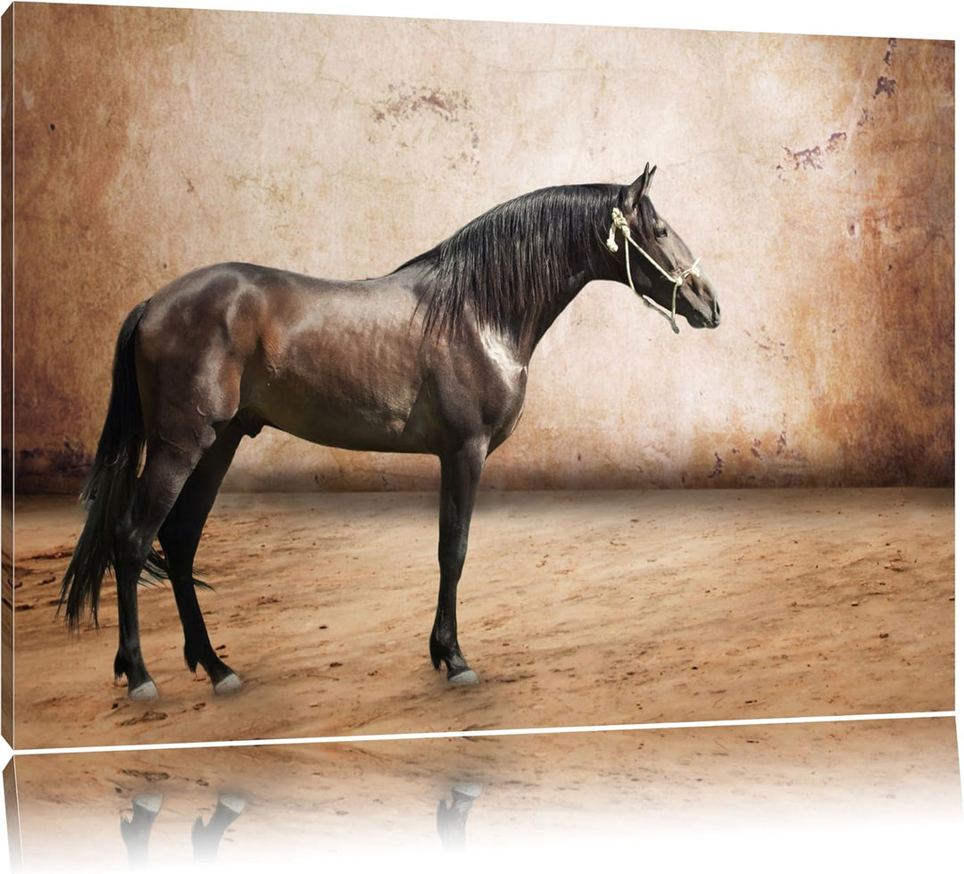 Pixxprint Brauner Hengst Format: 100x70 auf Leinwand, XXL riesige Bilder fertig gerahmt mit Keilrahm