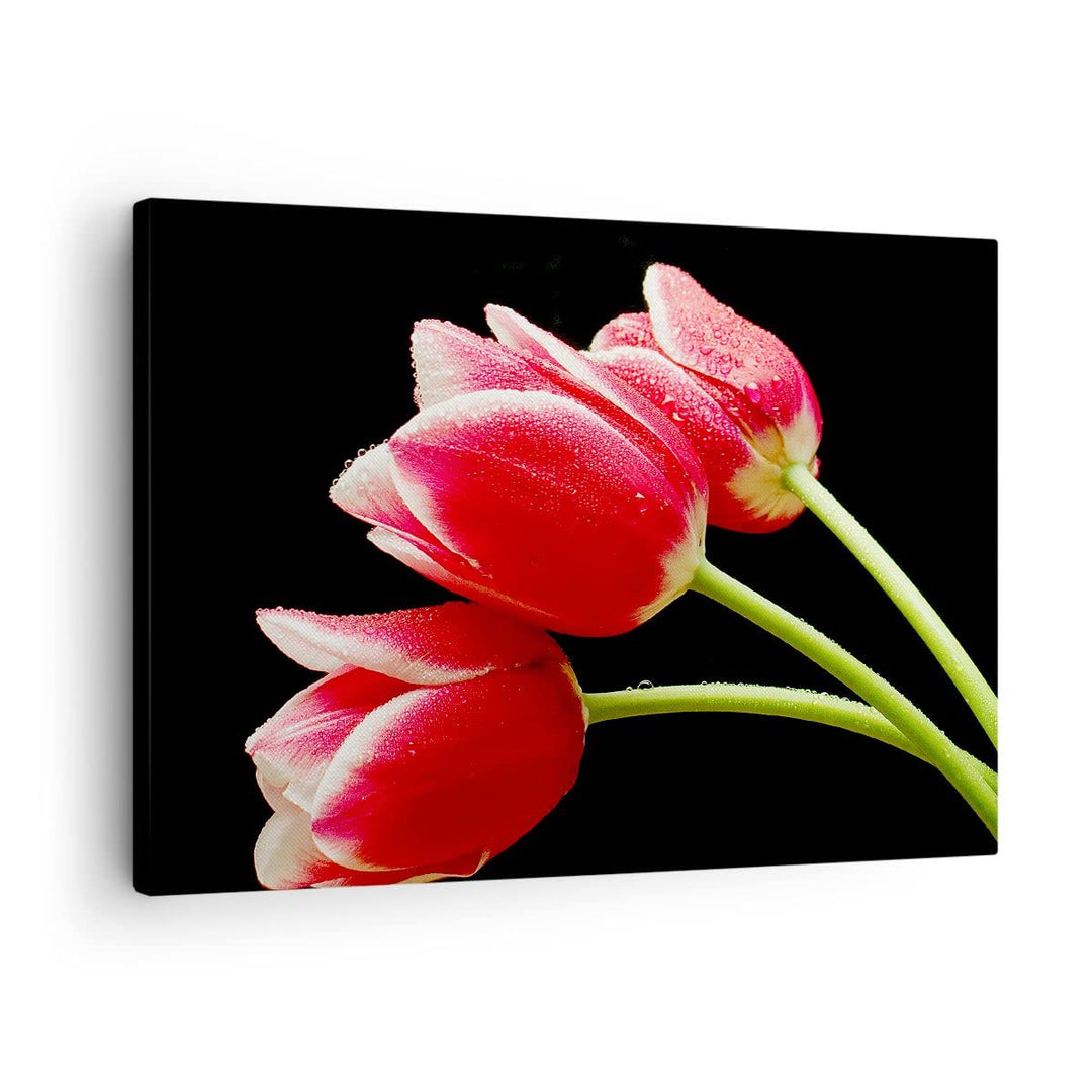 Bilder auf Leinwand Tulpe garten blume blumenstrauss Leinwandbild 70x50cm Wandbilder Dekoration Wohn
