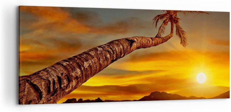 Wandbilder Dekoration Wohnzimmer Palme Landschaft Sonne Panorama Bilder auf Leinwand 120x50cm Leinwa