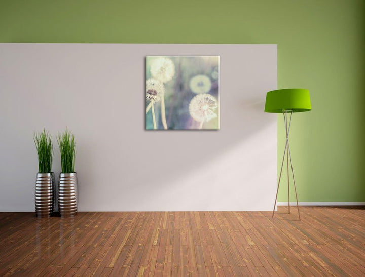 Romantische Pusteblumen, Format: 70x70 auf Leinwand, XXL riesige Bilder fertig gerahmt mit Keilrahme