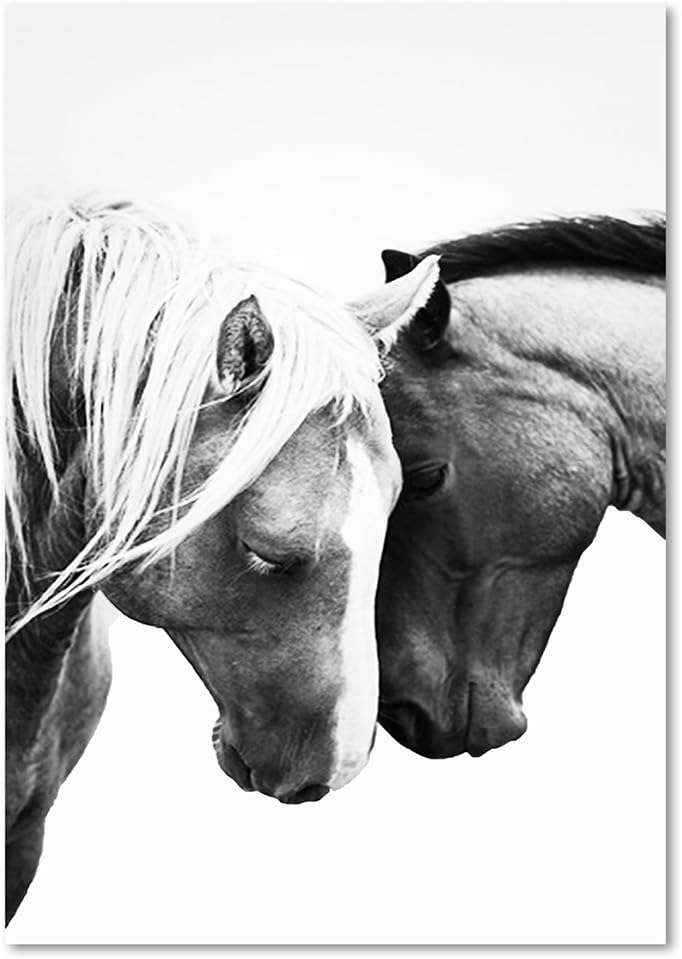 Feeby Frames. Wandbild - 1 Teilig - 70x100 cm, Leinwand Bild Leinwandbilder Bilder Wandbilder Kunstd