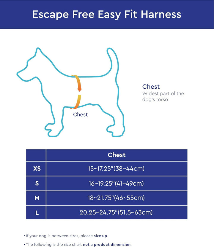 Gooby - Escape Free Easy Fit Hundegeschirr, kleines Hundegeschirr für Hunde, die ihrem Geschirr gern