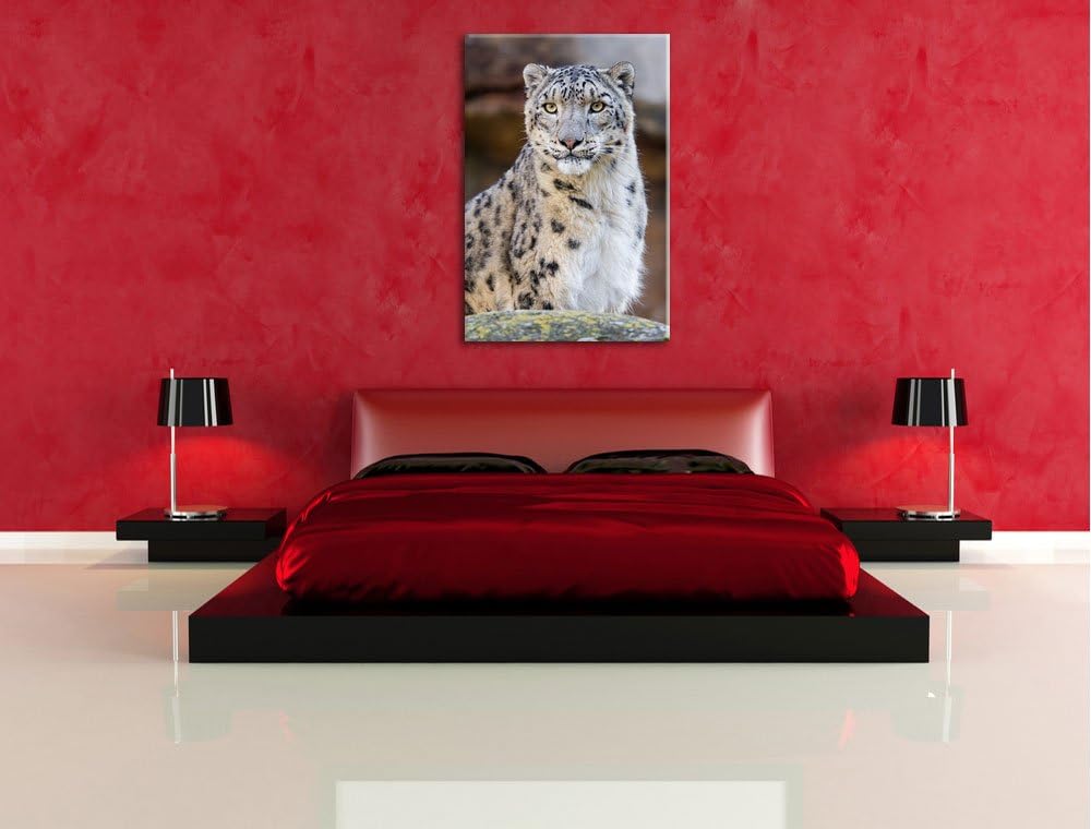 Pixxprint wachsame Schneeleopardin auf Leinwand, XXL riesige Bilder fertig gerahmt mit Keilrahmen, K