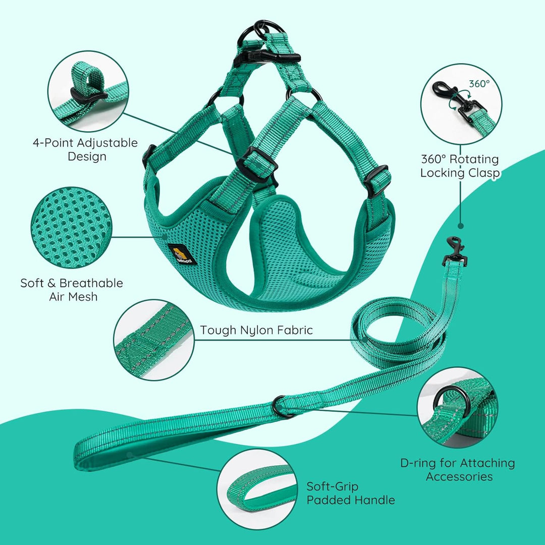 BELLA & PAL Hundegeschirr und Leine Set, Step-in Design mit atmungsaktivem Air-Mesh, reflektierenden