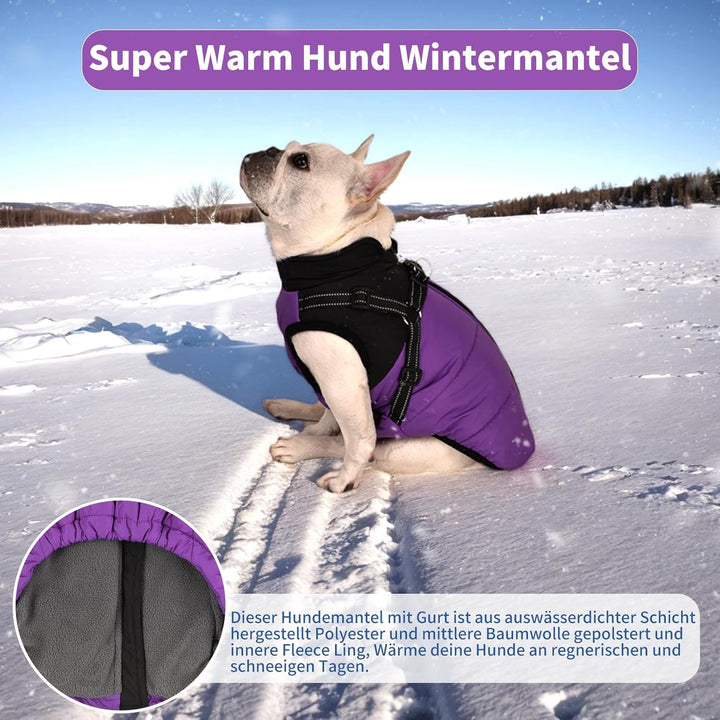 Hundemantel Hundejacke Winter Wasserdichter Hundemantel Kleiner Hundemantel Welpen Harness Hundemant