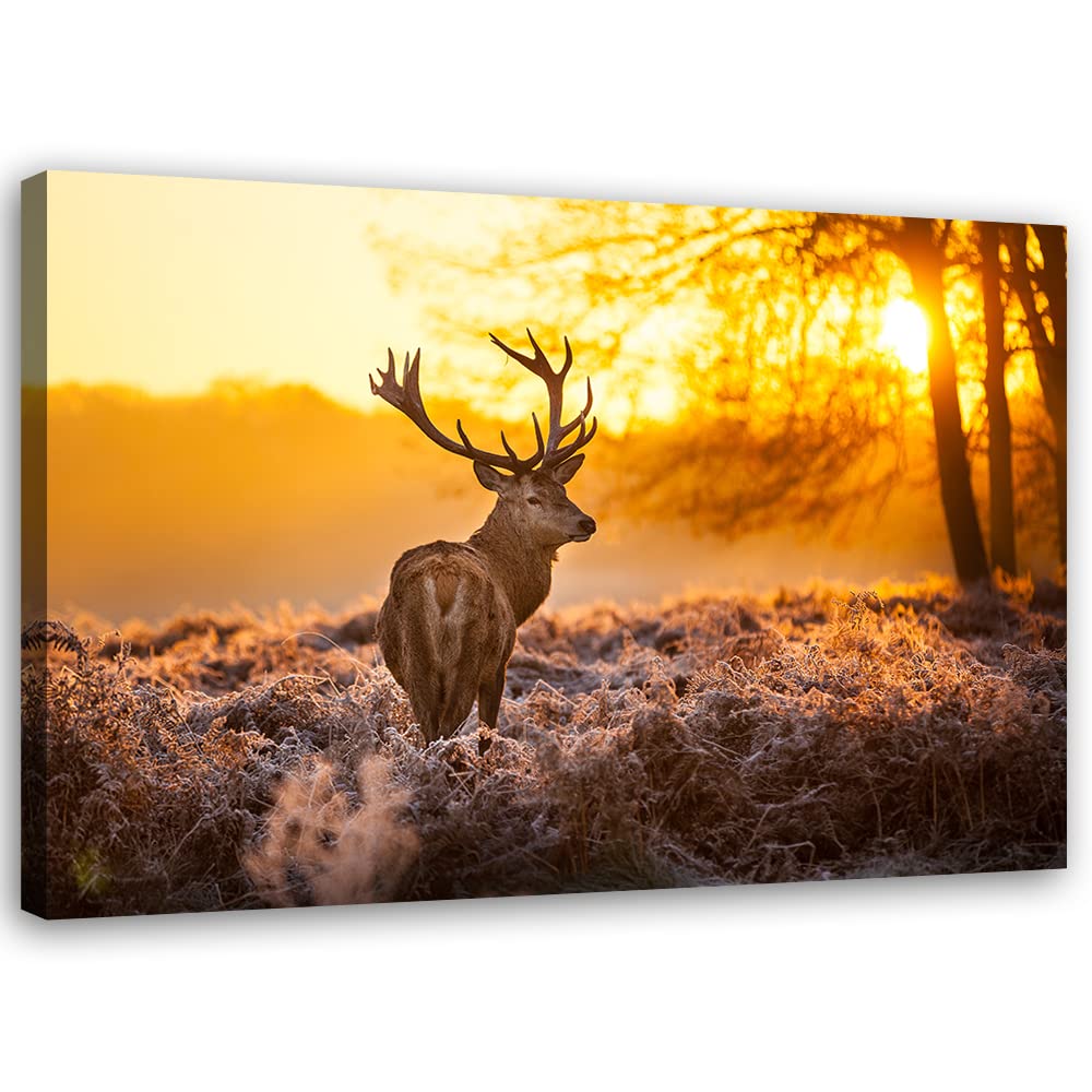 Feeby Vlies Leinwandbild Hirsch Wiese Reh Geweih 90x60 cm Druckbild Wandbild Wanddekoration Deko Wan