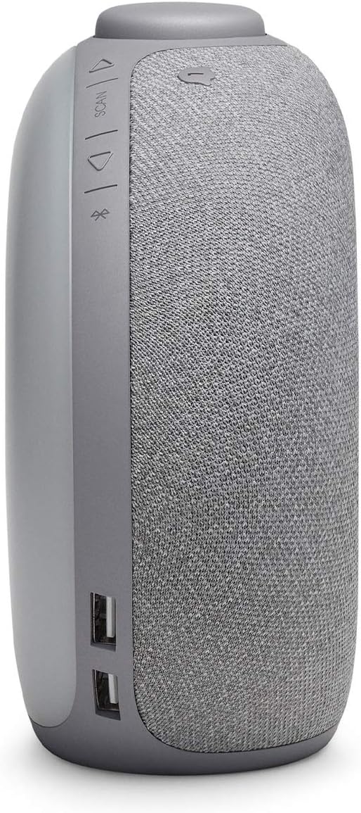 JBL Horizon 2 Bluetooth-Lautsprecher, mit FM-Radio und DAB, Grau