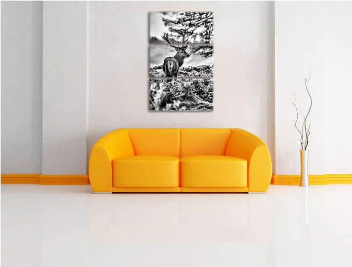 Pixxprint Hirsch im Wald als Leinwandbild/Grösse: 3 Teilig (120x80) cm/Wandbild/Kunstdruck/fertig be