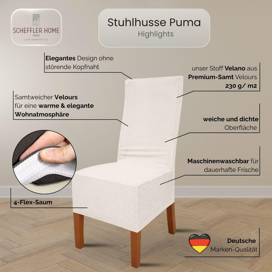 SCHEFFLER-Home Stretch Stuhlhussen Samt Puma Velvet/Velours Stuhlhussen Weiss-Ecru 2er Set/Stuhlabde