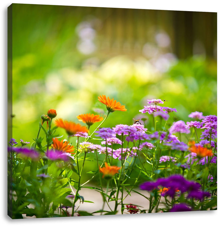Pixxprint Blumenwiese, Format: 70x70 auf Leinwand, XXL riesige Bilder fertig gerahmt mit Keilrahmen,