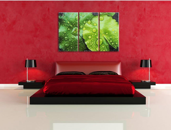 Pixxprint die Blätter mit den Wassertropfen Kunst Buntstift Effekt 3-Teiler Leinwandbild 120x80 Bild