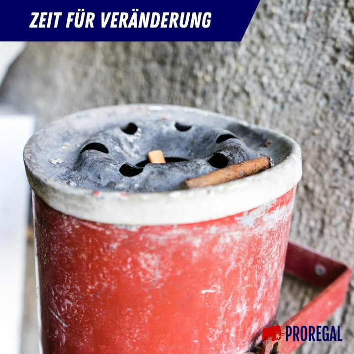 PROREGAL Runder Sicherheits-Wandaschenbecher mit Kippvorrichtung | 2 Liter, HxØ 16x16cm | Edelstahl