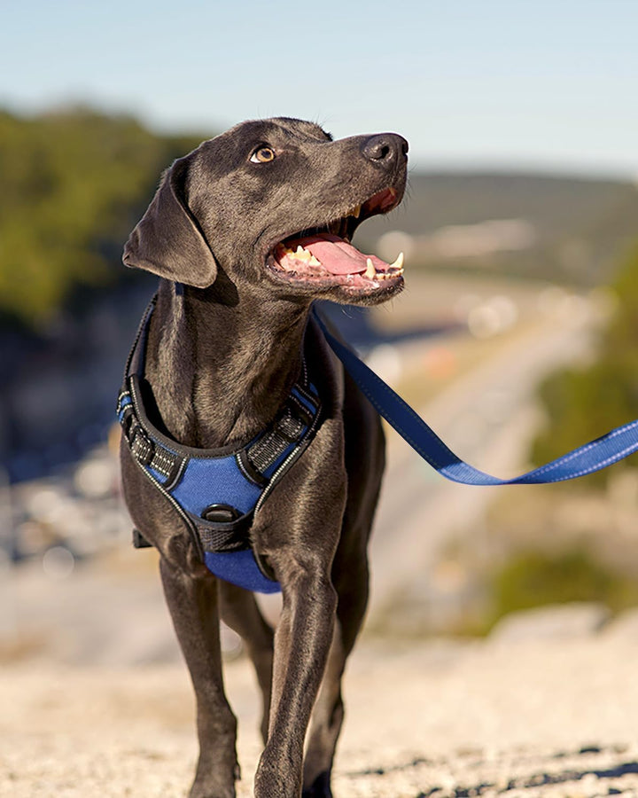 Joytale Anti-Zug Hundegeschirr für grosse Hunde, Navy Blau, L | Perfekter Sitz, gepolstert &amp; reflekt