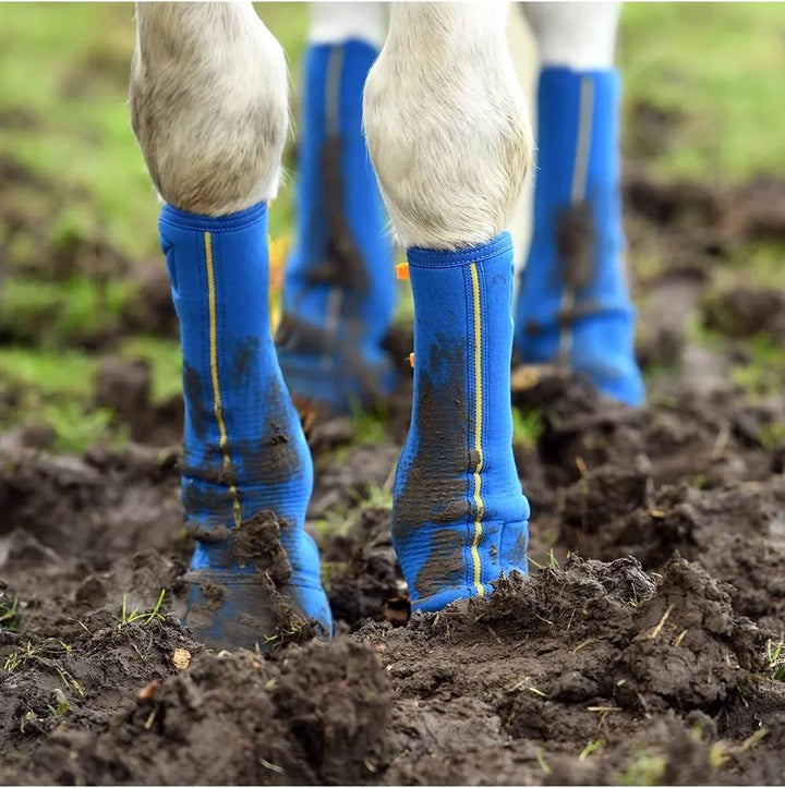 Equilibrium Technologies, Equilibrium Equi Close Contact Chaps, Grösse L, Farbe:Blau Unisex Erwachse